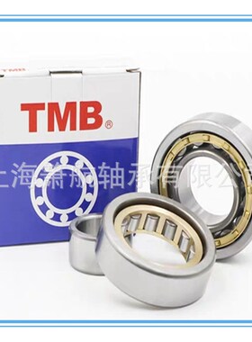 TMB/天马圆柱滚子轴承RN308M  309M   205M 208M RN210M
