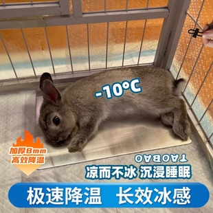 小兔子降温冰垫铝板散热防中暑神器宠物荷兰猪龙猫花枝鼠降温用品