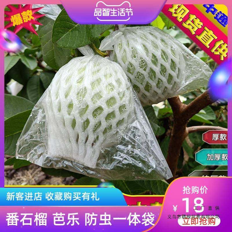 番石榴套袋网袋芭乐防虫网袋专用一体泡沫包装袋石榴袋水果网套,鲜花速递/花卉仿真/绿植园艺,园艺用品套装,淘宝优惠券,粉丝福利购,淘宝优惠卷