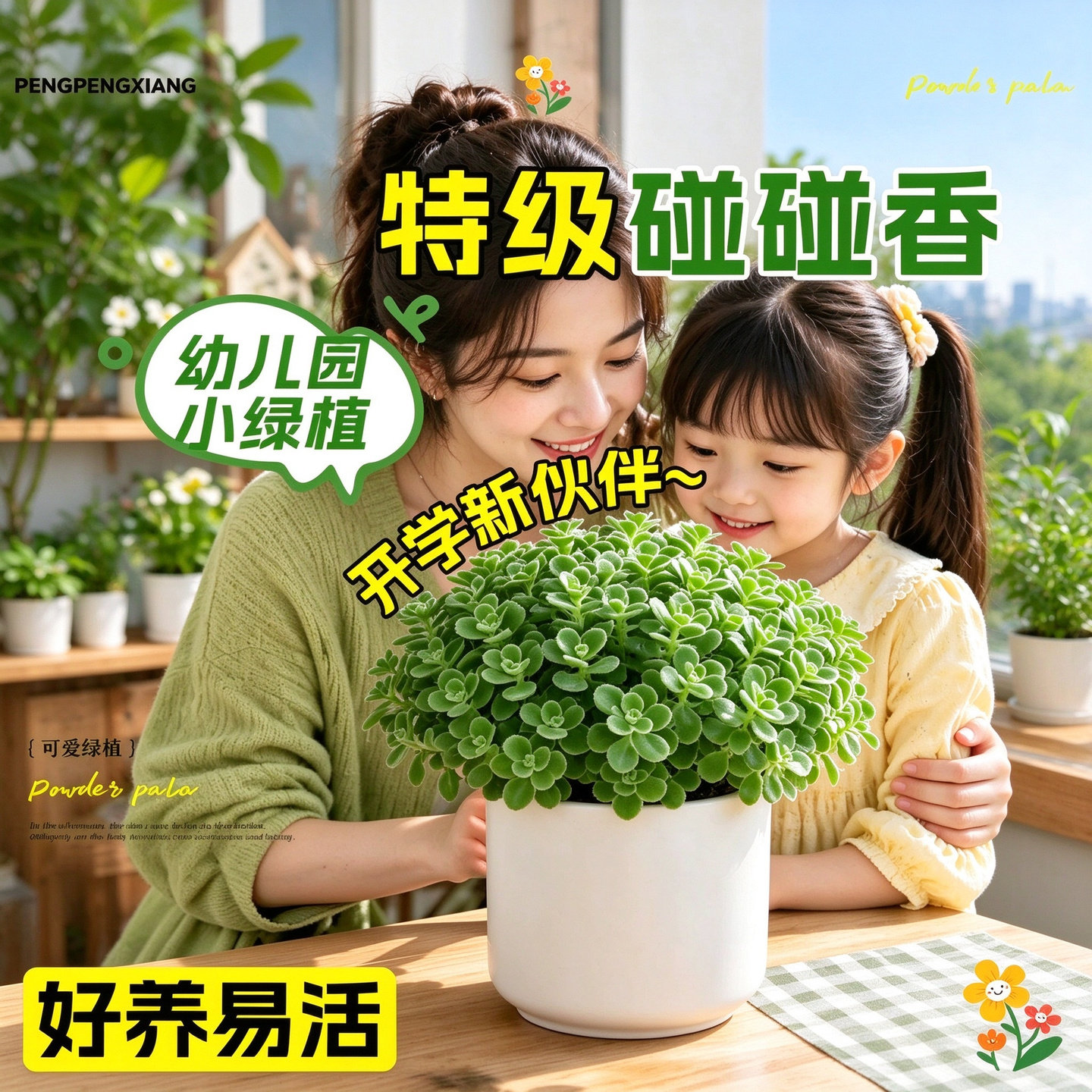 碰碰香小盆栽香草植物室内办公桌面绿植净化空气幼儿园趣味植物