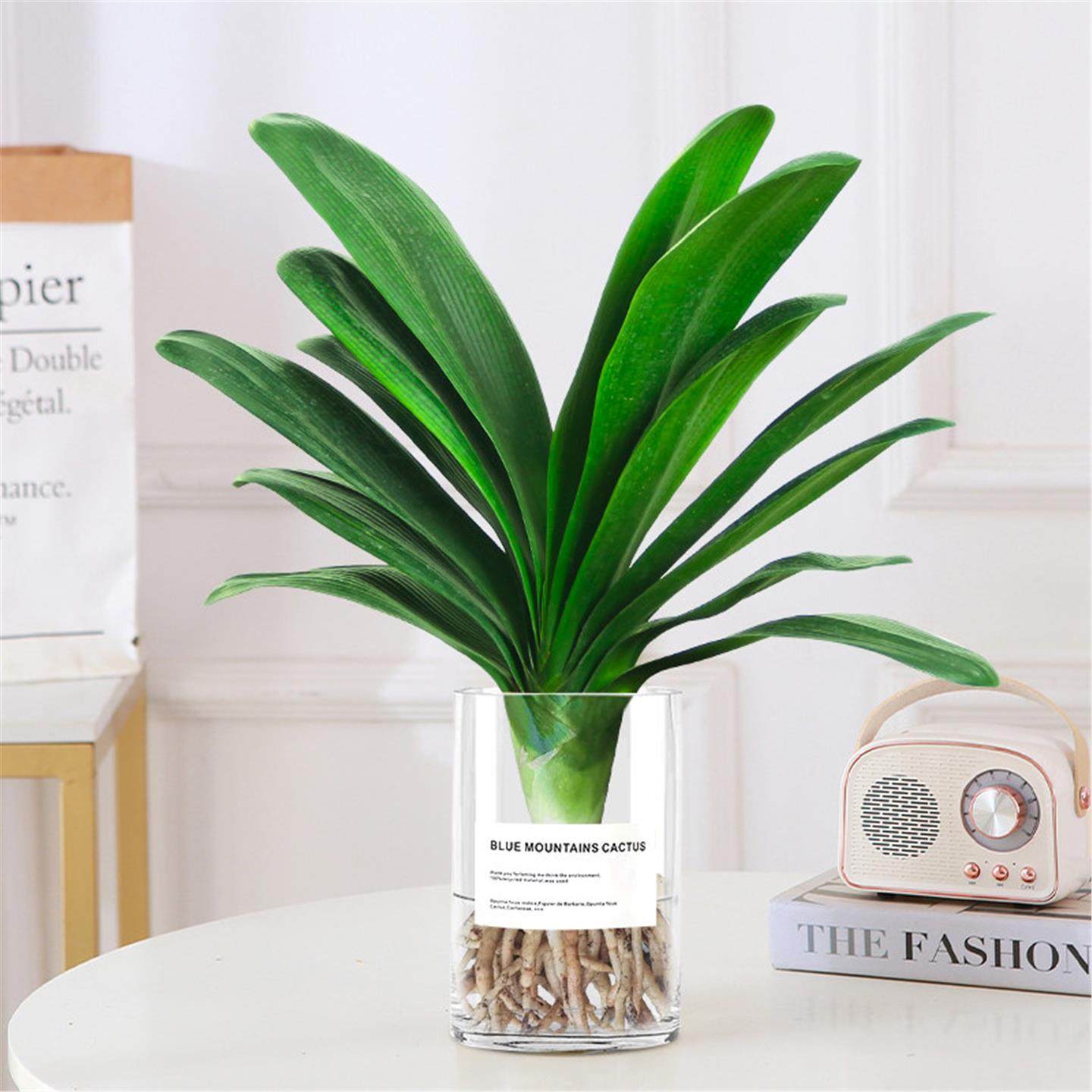 精品君子兰盆栽水培植物带花苞室内桌面名贵花卉四季好养多肉绿植,鲜花速递/花卉仿真/绿植园艺,国兰/杂交兰/洋兰类,淘宝优惠券,粉丝福利购,淘宝优惠卷