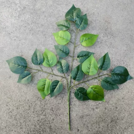 防真植物三叉苹果叶