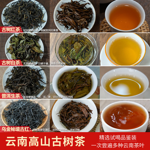 一次尝遍多种云南茶茶样合集