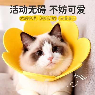 可爱造型活动无碍伊丽莎白圈