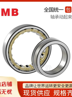 天马TMB圆柱滚子轴承N/RN313 314 315 316 317 318 319 320 321EM