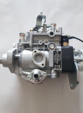 3923346 0460426205 V6E/12F1250R419-4油泵总成