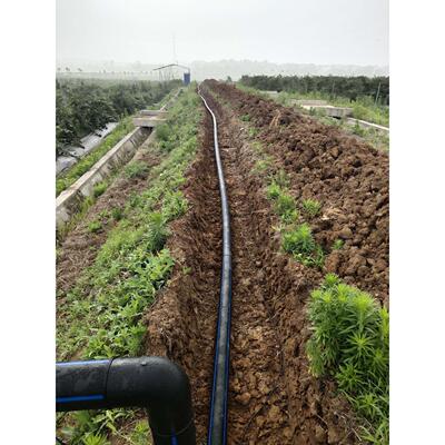 水肥一体化滴灌设备施工水肥一体化交钥匙工程Drip irrigation