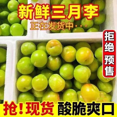 云南三月李子新鲜现摘整箱包邮