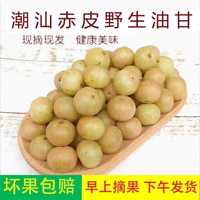 潮汕普宁甜油甘新鲜油甘果牛甘果余甘果滇橄榄甜种柿饼甜油柑,水产肉类/新鲜蔬果/熟食,其它,淘宝优惠券,粉丝福利购,淘宝优惠卷