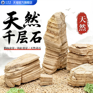 鱼缸造景石溪流石底部砂石青龙石干层石乌龟缸南美缸天然造景石头