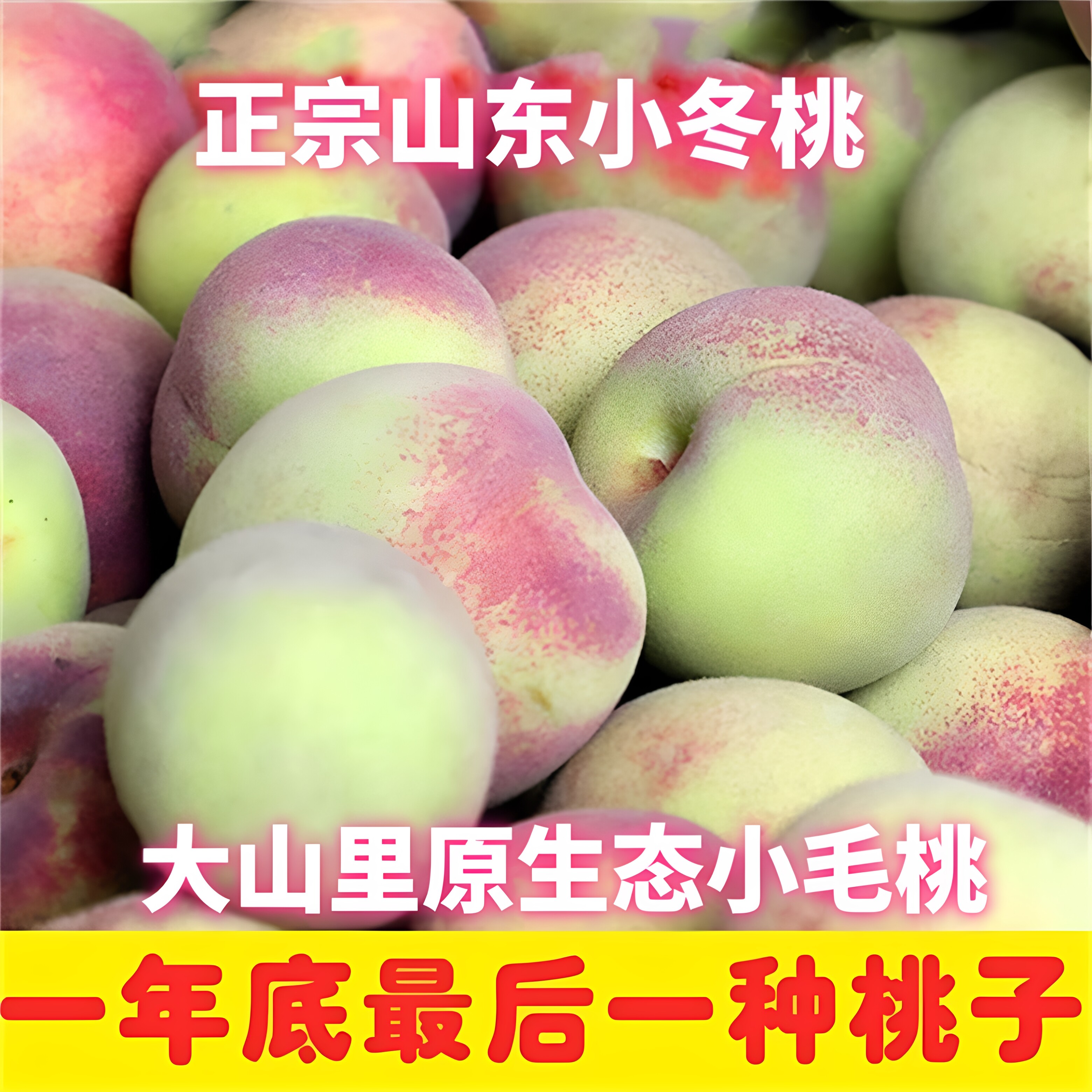 山东蜜桃大山里的甜桃子