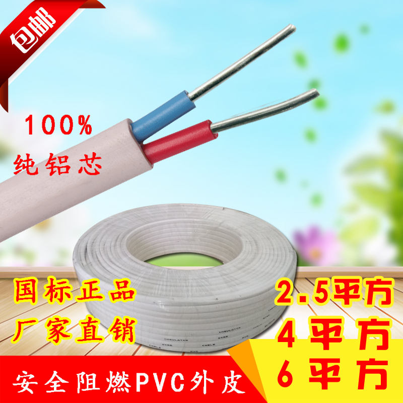 国标电线铝线双芯2x2.5/4/6平方二芯单股铝芯白色护套线 足100米