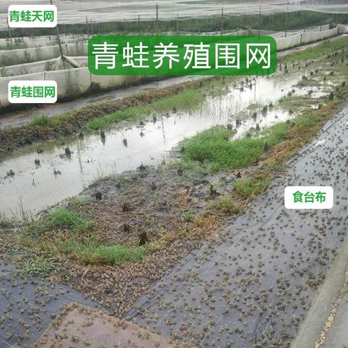 优选防虫网大棚专用加厚果树蔬菜脐橙莲雾纱网罩牛蛙养殖青蛙围网