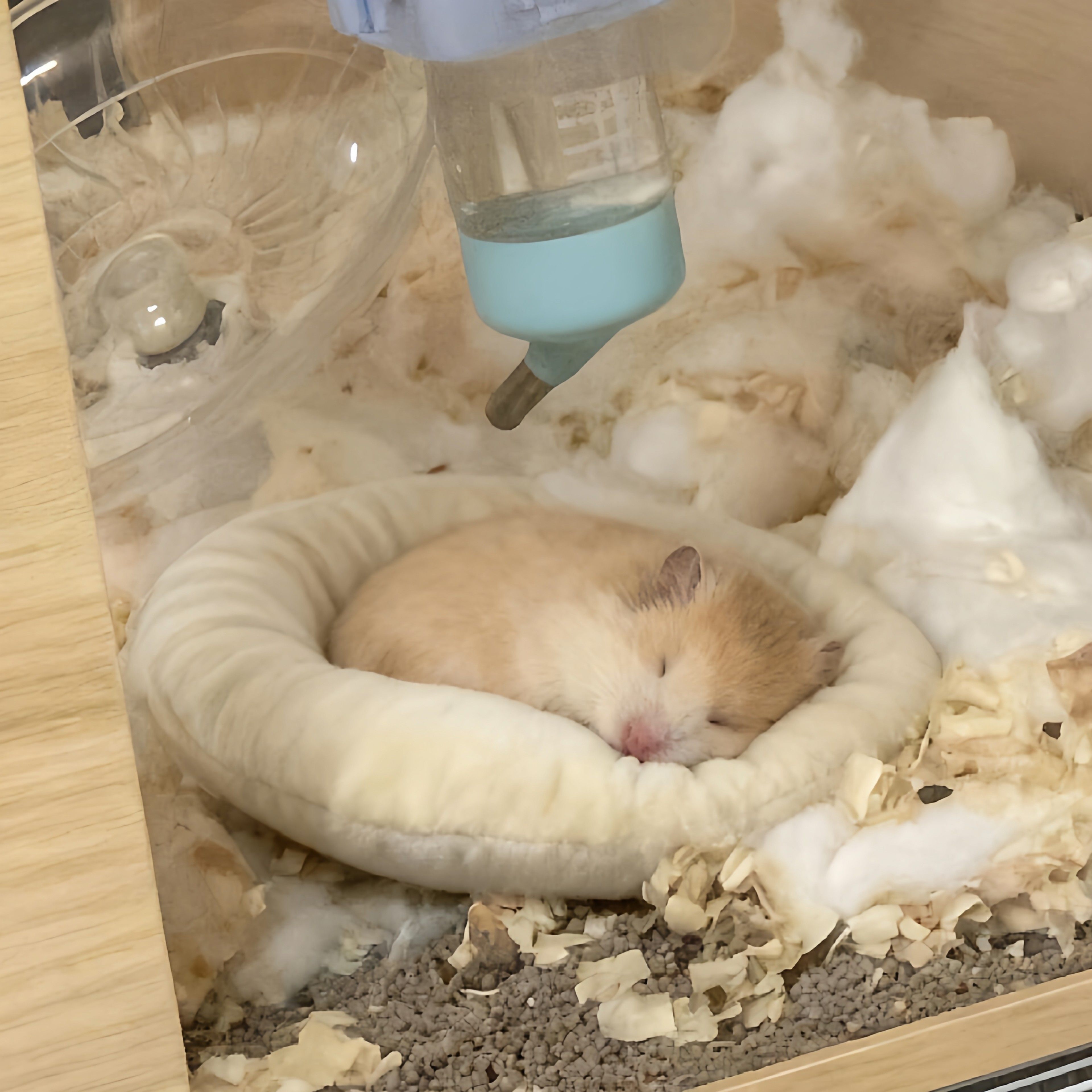 圆形仓鼠窝冬加厚加绒窝金丝熊花枝鼠龙猫睡窝垫保暖棉垫小宠用品