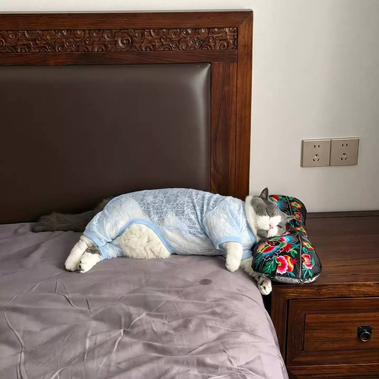 猫咪衣服夏季薄款透气防掉毛超轻