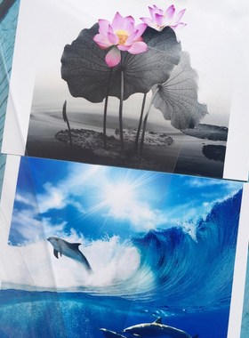 影楼冷裱膜 TCP150高透水晶膜 pet喷漆地板保护膜  厂家直供