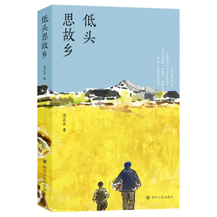 低头思故乡9787220136290四川人民出版社况正兵