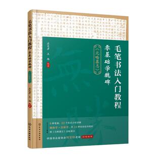 社庄文彦 毛笔书法入门教程 零基础学魏碑：元 略墓志9787122430915化学工业出版 编著 王炜