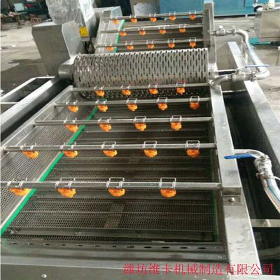 新疆灰枣气泡清洗机 和田枣山楂圣女果鼓浪式清洗流水线设备