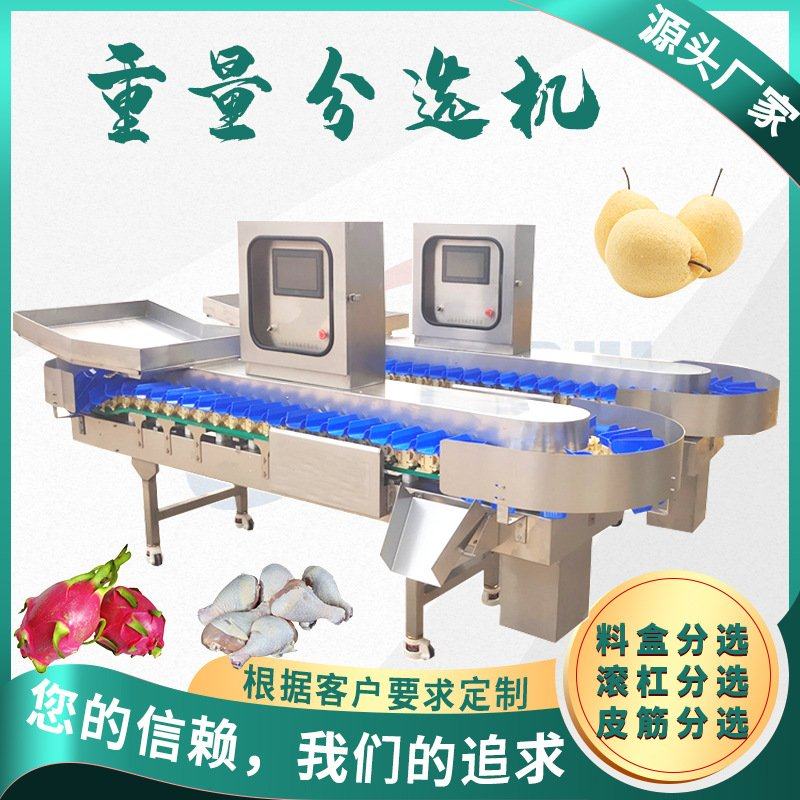 牡蛎重量分选机 土豆红薯水果自动称重分拣机 料盒式苹果分级机