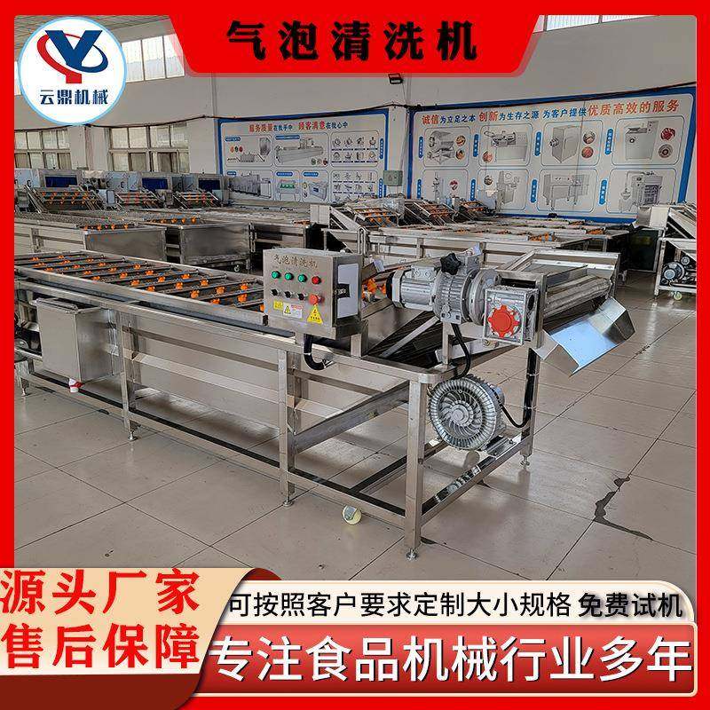 多功能净菜清洗机不锈钢药材气泡清洗机全自动蔬菜水果清洗设备,厨房电器,其他商用厨电,淘宝优惠券,粉丝福利购,淘宝优惠卷