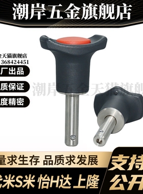 MI思米BLP08020/08025/08030/08040/08050-SUS球头锁紧销