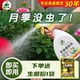 护花神直喷杀虫剂红蜘蛛小黑飞虫专用玫瑰月季 花卉家庭植物通用型