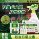 护花神蚧壳虫杀虫剂吡虫啉白粉虱蚜虫小黑飞腻虫多肉植物花卉喷剂