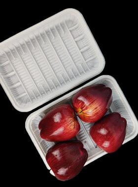 2316白色超市托盘一次性生鲜托盘塑料烤鸭盘烧烤熟食蔬菜水果托盘