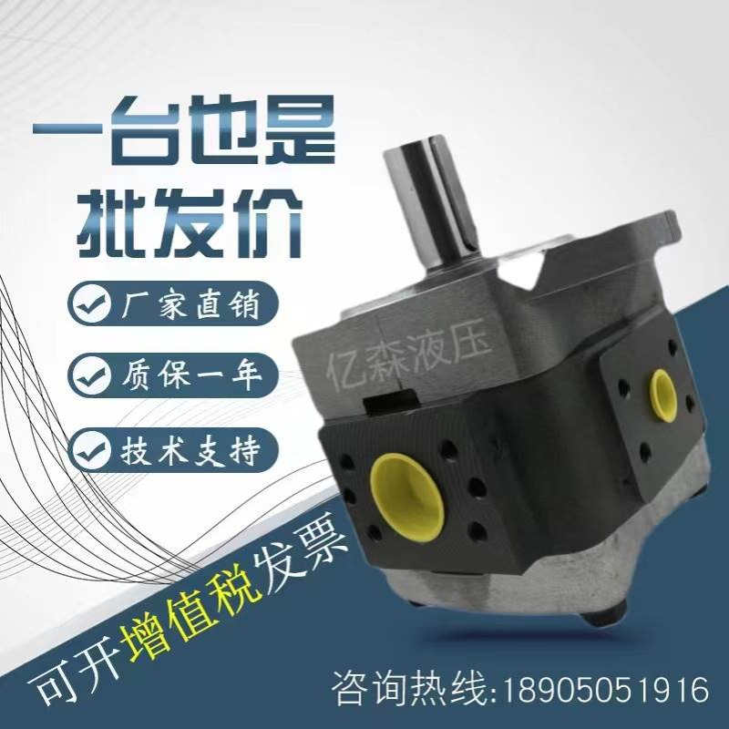 福伊特VOITH齿轮泵IPVP5-32/40/50/64 IPV6-80-101 100 IPV7-125