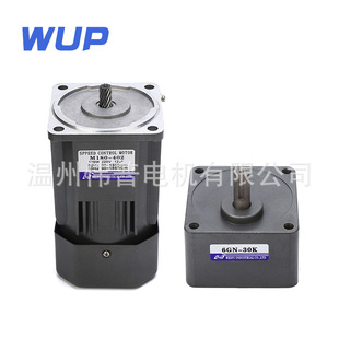 C微型调速减速电机交流220v减速马达 6IK180RGN 伟普供应m180 402