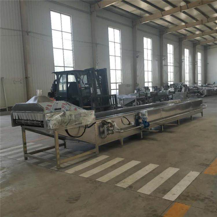 全自动 帝王蟹清洗机 虾皮清洗设备 大虾清洗流水线 华远,清洗/食品/商业设备,果蔬加工设备,淘宝优惠券,粉丝福利购,淘宝优惠卷