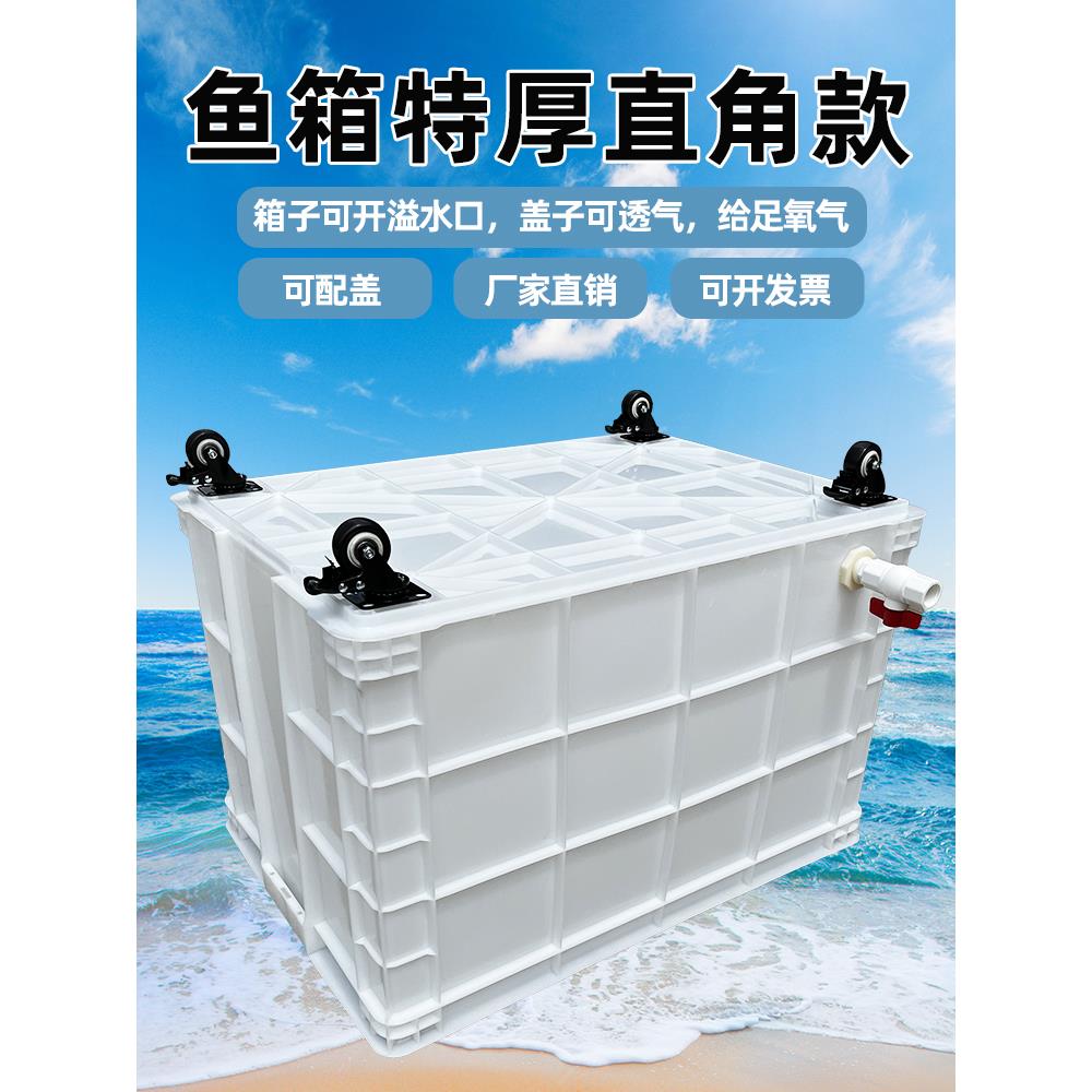 特大号带轮子周转箱养龟带排水口养鱼水箱带孔水产养殖带轱辘鱼桶