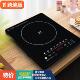 电磁炉炒菜小型迷你家用110v伏电压出口小家电台湾香港美国用美规