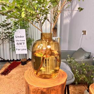 『落地大花瓶』小口大肚玻璃花瓶大容量高通透美男树雪柳各种鲜切