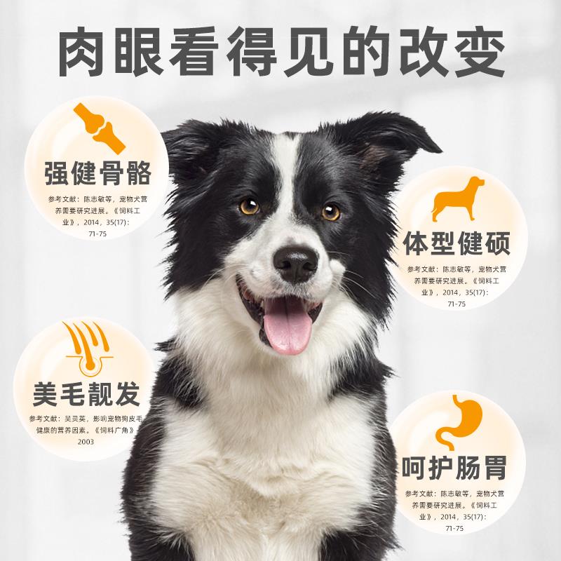 边牧狗粮20斤装10kg边境牧羊犬狗粮中大型犬专用成犬幼犬牛肉味40