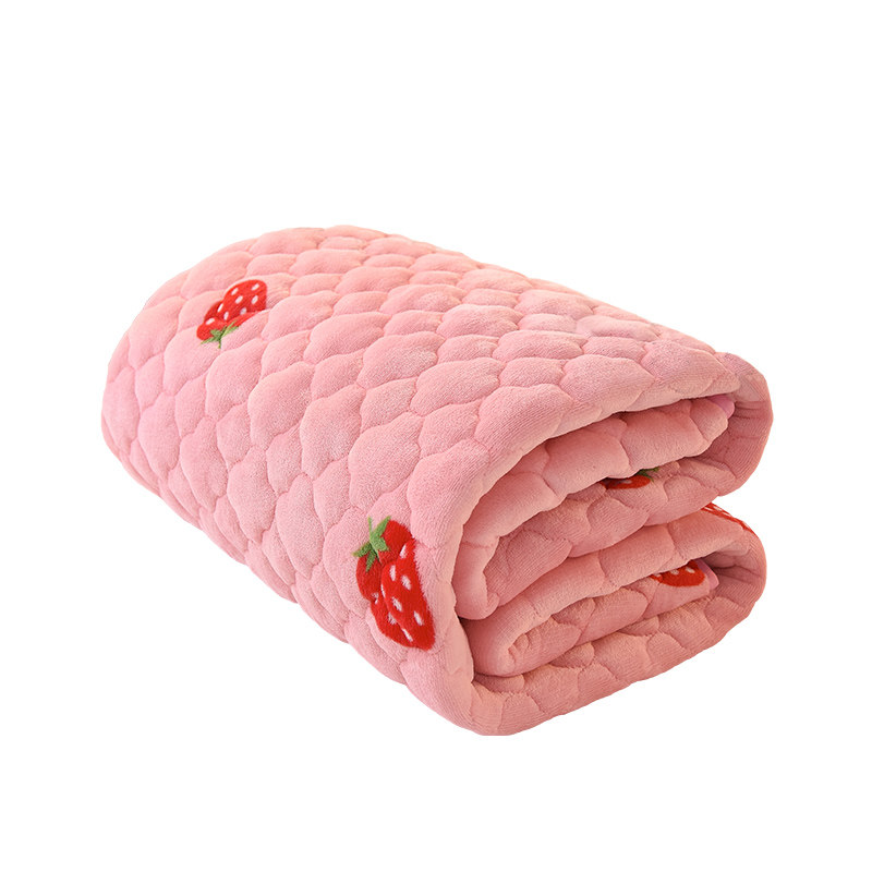 冬季珊瑚绒床单加绒加厚床上铺毛毯铺床防滑绒毯子床垫Z床毯法莱