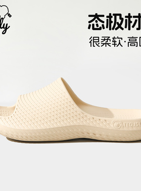【态极】泰迪爱兰凉拖鞋女款居家室内防滑防臭运动户外穿男士夏季