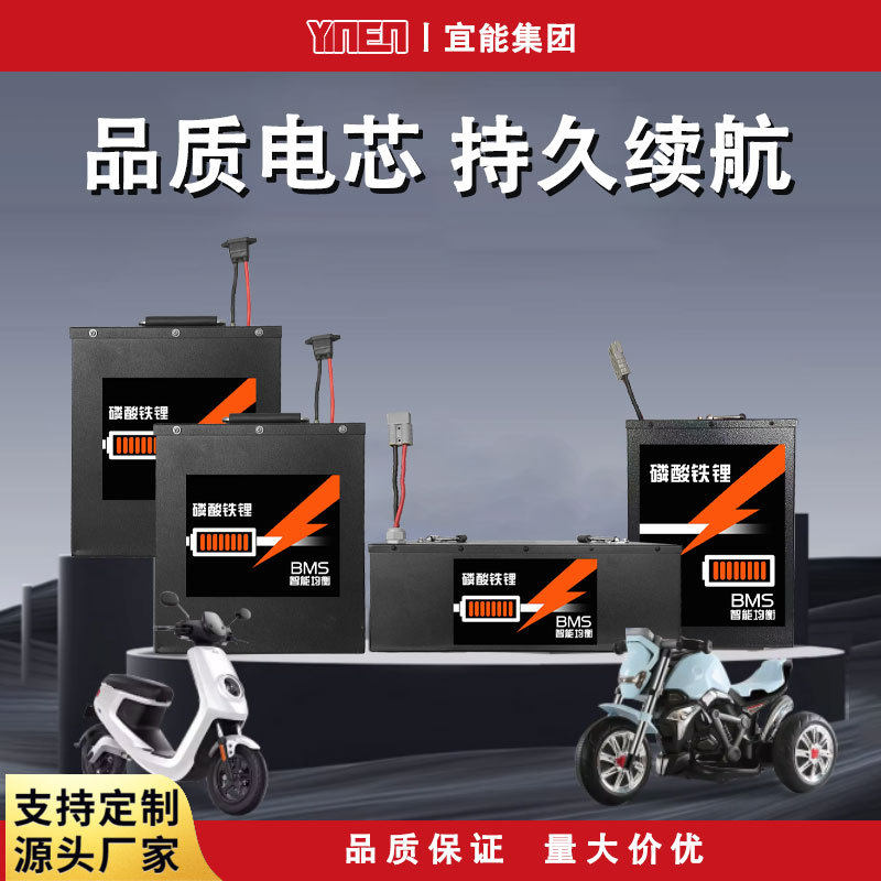 定制动力LiFePO? 四轮车叉车观光车锂电池磷酸铁锂电池48V60V72V