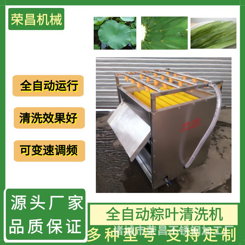 全自动粽叶清洗机 荷叶苇叶双面毛辊清洗机菠萝叶粽叶清洗机器