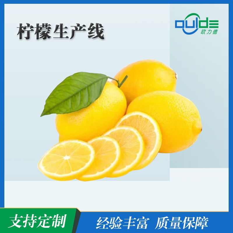 厂家出售大型香水柠檬生产线果汁饮料流水线橙子柑橘全自动生产线