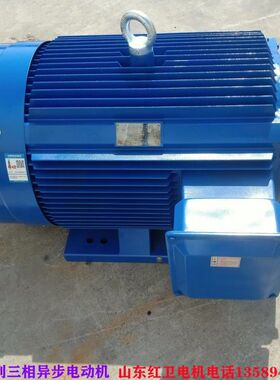 山东厂家直供 YE3-355M-6/185KW 低噪音三相异步电动机 质量保障