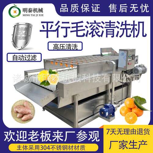 全自动平行毛滚清洗机橘子柠檬橙子洗果机海蛎子生蚝清洗去泥设备