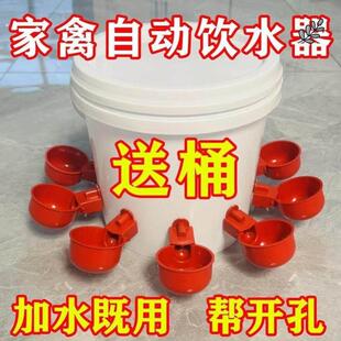 喂鸡食槽水槽一体喂鸡懒人神器出远门农村自动喂鸡家禽养殖小鸡鸭