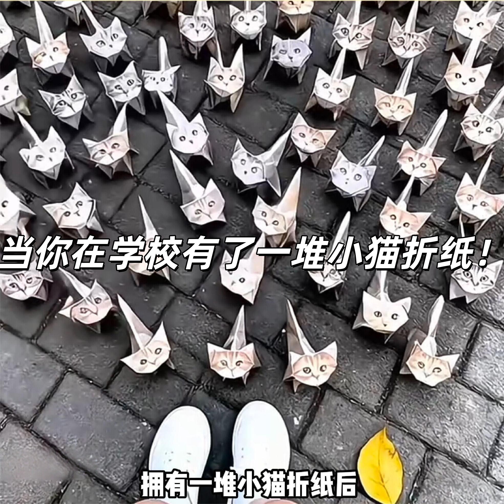 小猫折纸哈基米纸模型学生上课摸鱼动物立体折纸个性创意创意玩具