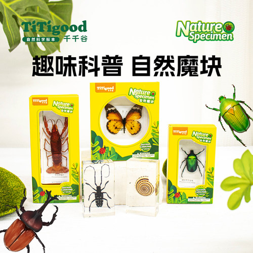 TITIGOOD千千谷魔块标本