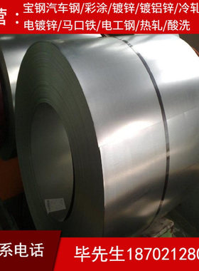 VW50111-St04ZF100RB-T-O批发零售汽车钢