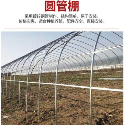 鹅棚大棚钢管牛棚温室羊棚全套蔬菜骨架养鸡养殖养猪大棚大棚大棚