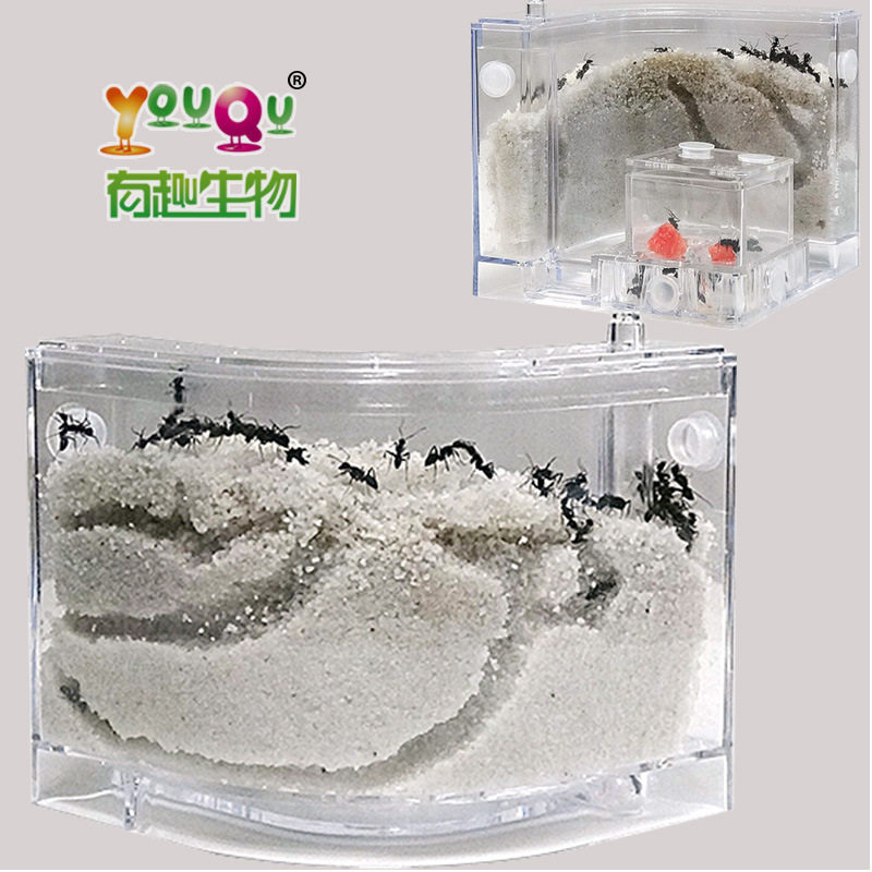 【蚂蚁沙巢】有趣生物蚂蚁工坊沙巢沙堡蚁巢科学实验玩具探索教具