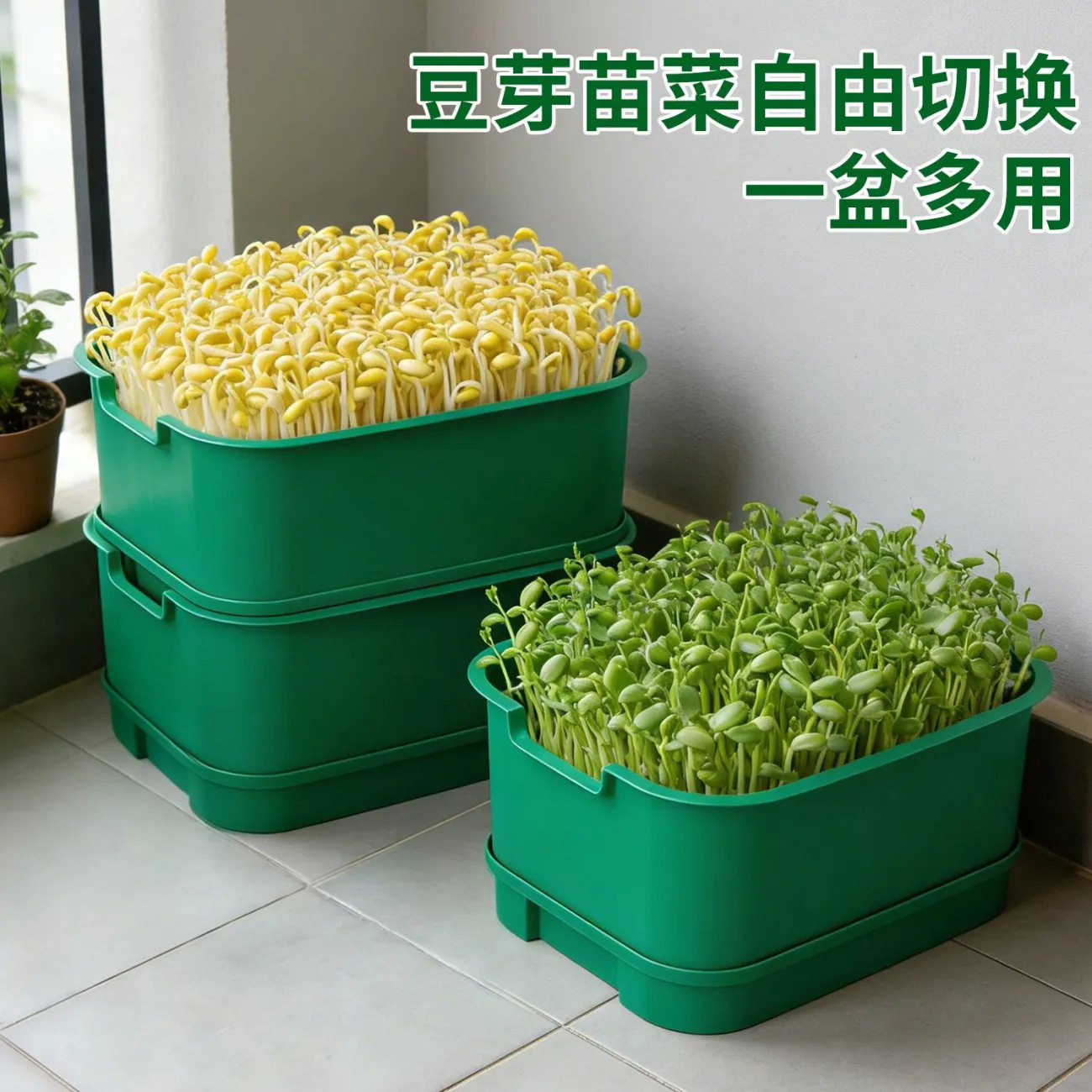 自制豆芽育苗盘芽苗菜盘种植发芽盆发豆芽黄绿豆芽无土栽培水培盘